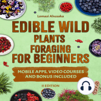 Edible Wild Plants Foraging For Beginners