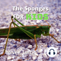 The Grasshopper for Kids