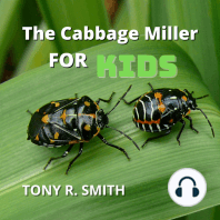 The Cabbage Miller for Kids