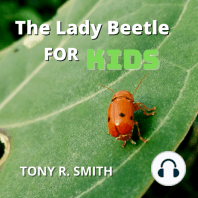 The Lady Beetle