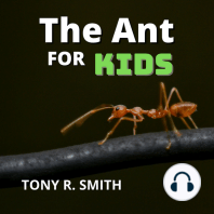 The Ant for Kids