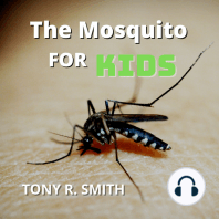 the Mosquito for Kids