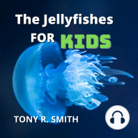 The Jellyfishes for Kids