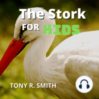 The Stork for Kids