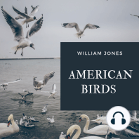 American Birds