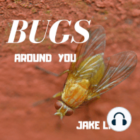 Bugs Around You