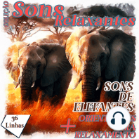 Coleção Sons Relaxantes - Sons de Elefantes