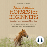 Understanding Horses for Beginners - Learning Horse Language Made Easy