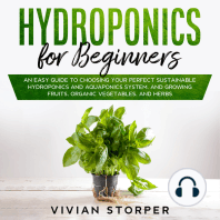 Hydroponics for Beginners