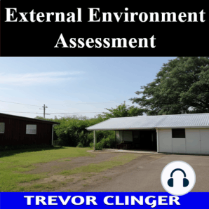 External Environment Assessment