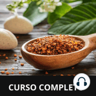 Curso completo de terapia holística