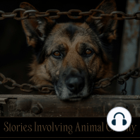 Stories Involving Animal Cruelty