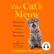 The Cat's Meow: How Cats Evolved from the Savanna to Your Sofa