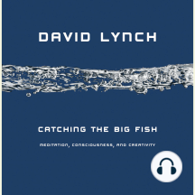 Catching the Big Fish: Meditation, Consciousness, and Creativity
