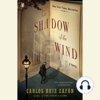 The Shadow of the Wind