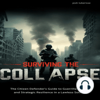 Surviving The Collapse