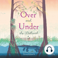 Over and Under the Wetland