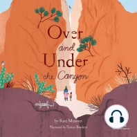 Over and Under the Canyon