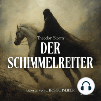 Der Schimmelreiter - Hörbuch