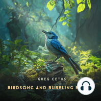 Birdsong and Bubbling Brook