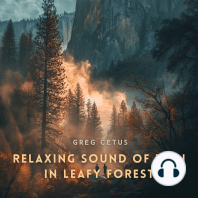 Relaxing Sound of Rain in Leafy Forest