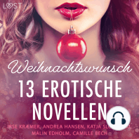 Weihnachtswunsch – 13 erotische Novellen