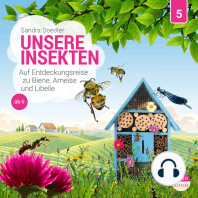 Unsere Welt, Folge 5