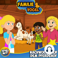 Nachwuchs auf dem Pferdehof