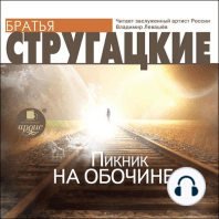 Пикник на обочине