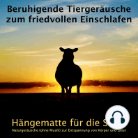 Beruhigende Tiergeräusche zum friedvollen Einschlafen