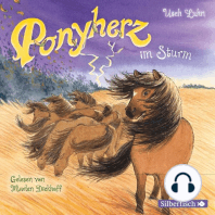 Ponyherz 14