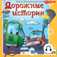 Дорожные истории