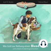 Wie Gott zur Rettung einen Hund schickte und andere Andachtsgeschichten