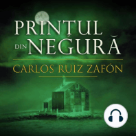 Prințul din negură