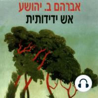 אש ידידותית