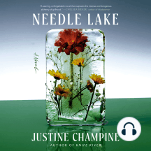 Needle Lake: A Novel