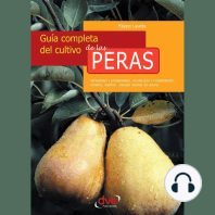 Guía completa del cultivo de las peras