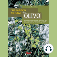 Guía completa del cultivo del olivo