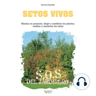 Setos vivos