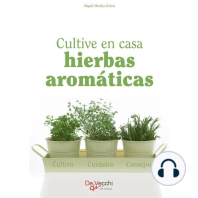 Cultive en casa hierbas aromáticas