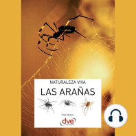 Las arañas