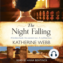 The Night Falling: a searing novel of secrets and feuds