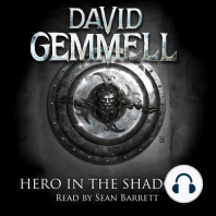 Hero in the Shadows