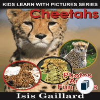 Kids Learn With Pictures Book