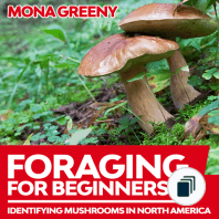 Foraging For Beginners