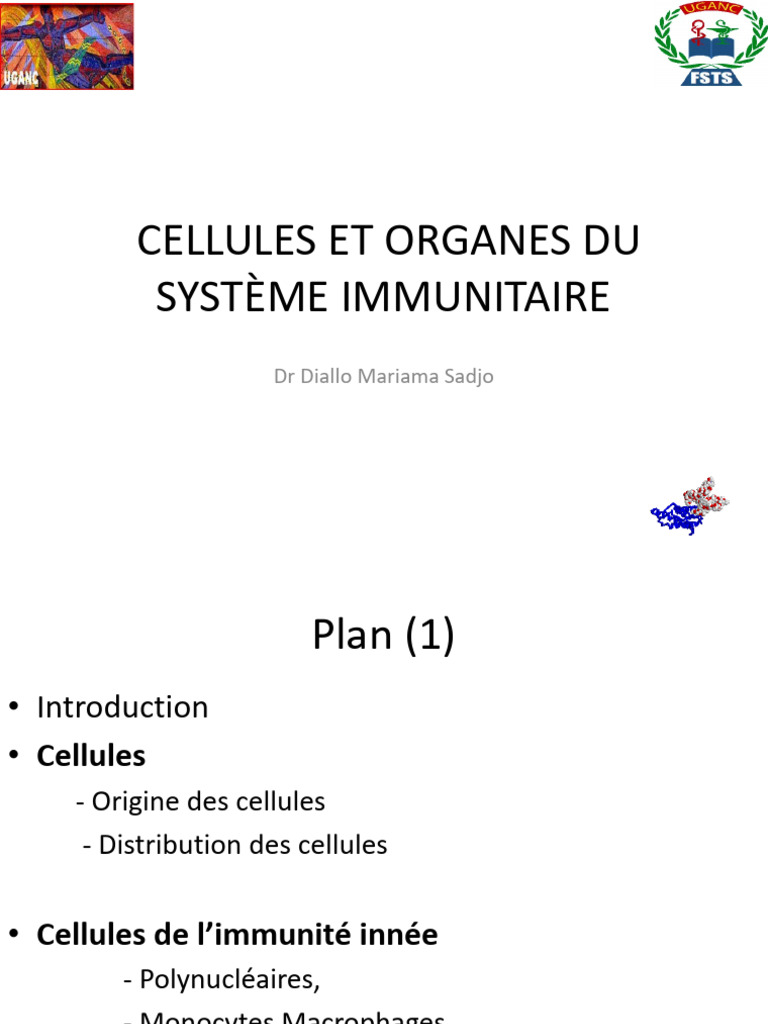 2 Cellule Et Organe Du Systeme Immunitaire | PDF