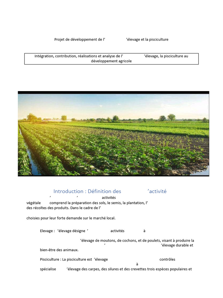 AEP1 3 Sauvie BRELE MPOUEBE ENTREPRE NEU | PDF | Agriculture | Mouton