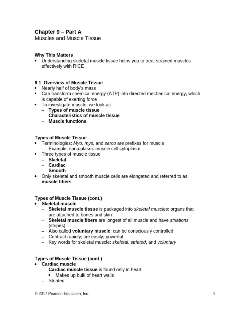 CH 09 Lecture Presentation A | PDF | Muscle Contraction | Muscle