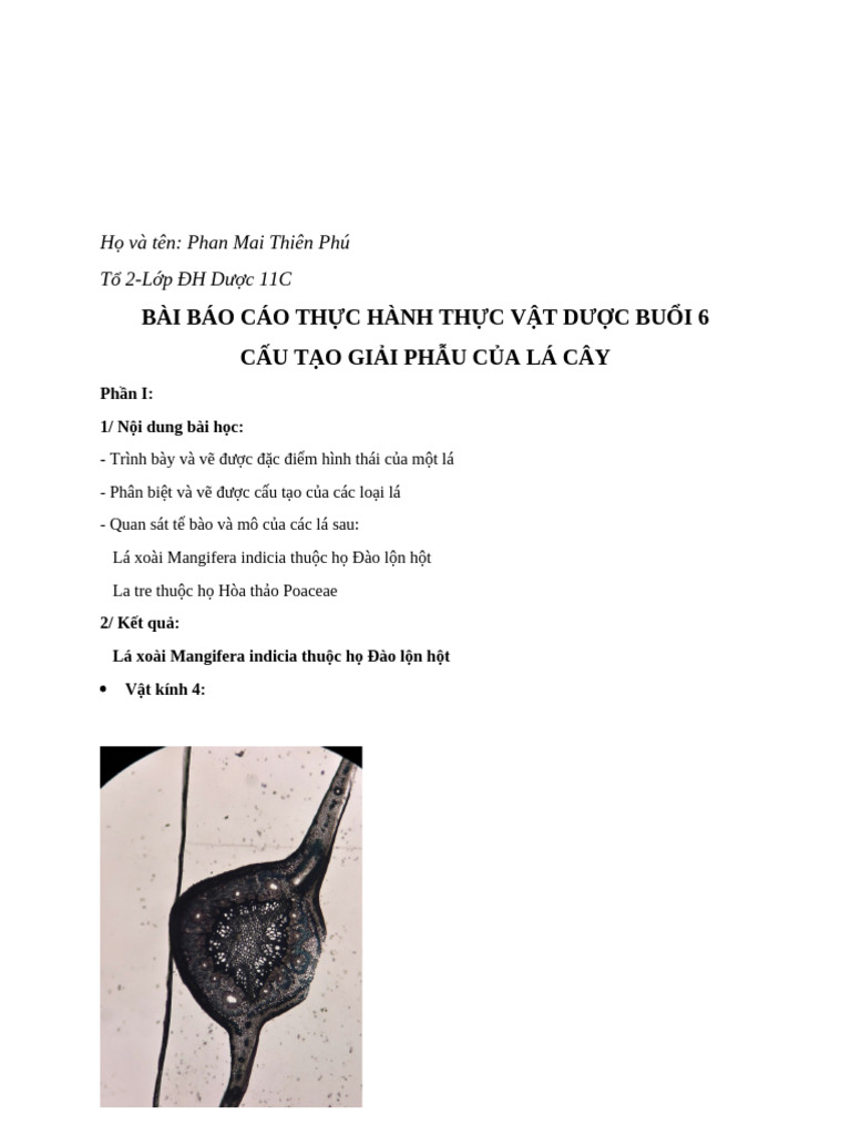 Bài 6 Phan Mai Thiên Phú | PDF