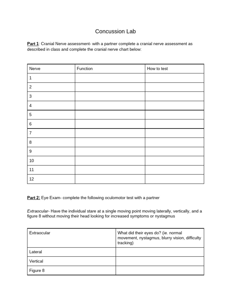 Concussion Lab s25 | PDF | Foot | Human Anatomy